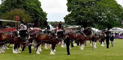 Lot 8 - The Suffolk Show 2025: Vice President’s Pack...
