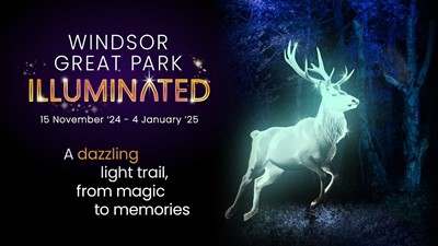 Lot 11 - Windsor Great Park Illuminated: Family Ticket...