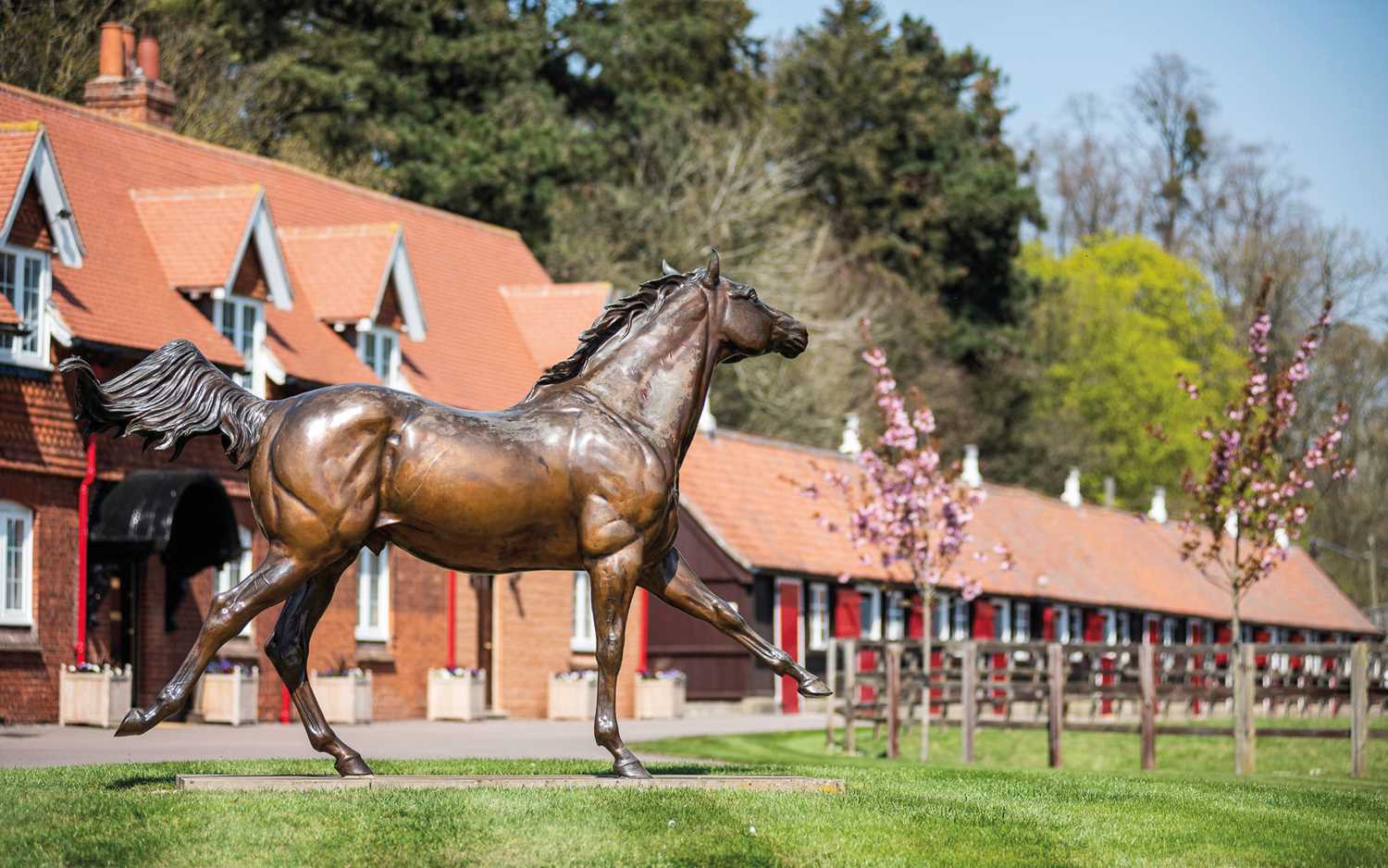 Lot 18 - Cheveley Park Thoroughbred Racehorse Stud,...