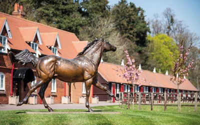 Lot 18 - Cheveley Park Thoroughbred Racehorse Stud,...