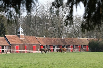 Lot 18 - Cheveley Park Thoroughbred Racehorse Stud,...