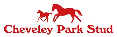 Lot 18 - Cheveley Park Thoroughbred Racehorse Stud,...