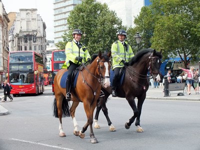 Lot 21 - Mounted Police Bow Stables - London: Tour for...