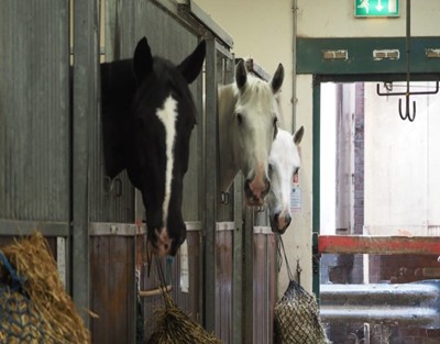 Lot 21 - Mounted Police Bow Stables - London: Tour for...