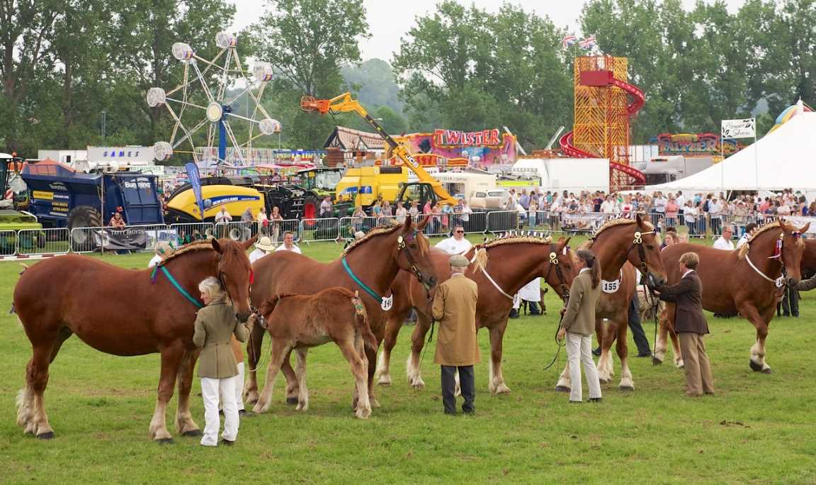 Lot 27 - May Show 2025 Hadleigh Suffolk: Hospitality...