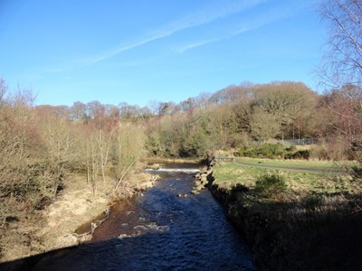 Lot 37 - Take A Walk on the Wild Side: A Guided tour...