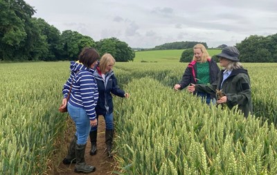 Lot 51 - White Quarry Farm, Tadcaster, North Yorkshire:...