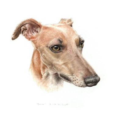Lot 67 - Pet Portrait Commission: An original artwork...