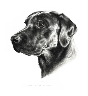 Lot 67 - Pet Portrait Commission: An original artwork...