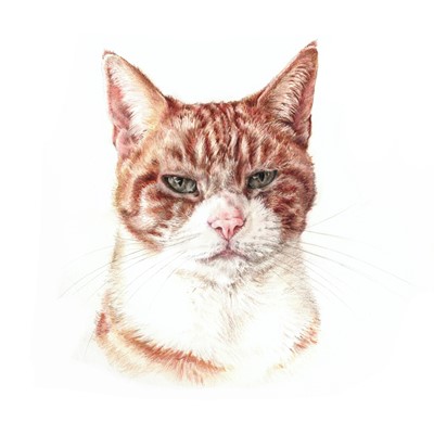 Lot 67 - Pet Portrait Commission: An original artwork...
