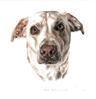 Lot 67 - Pet Portrait Commission: An original artwork...