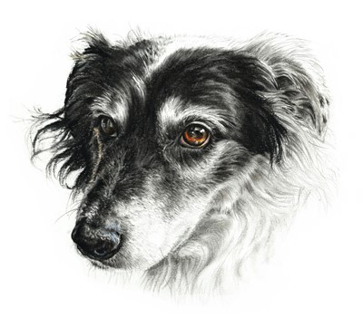 Lot 67 - Pet Portrait Commission: An original artwork...