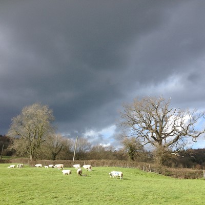 Lot 69 - Romshed Organic Farm Sevenoaks, Kent: Farm...