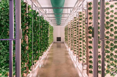 Lot 76 - The Aerobarn: A Private Tour for x5 guests of...