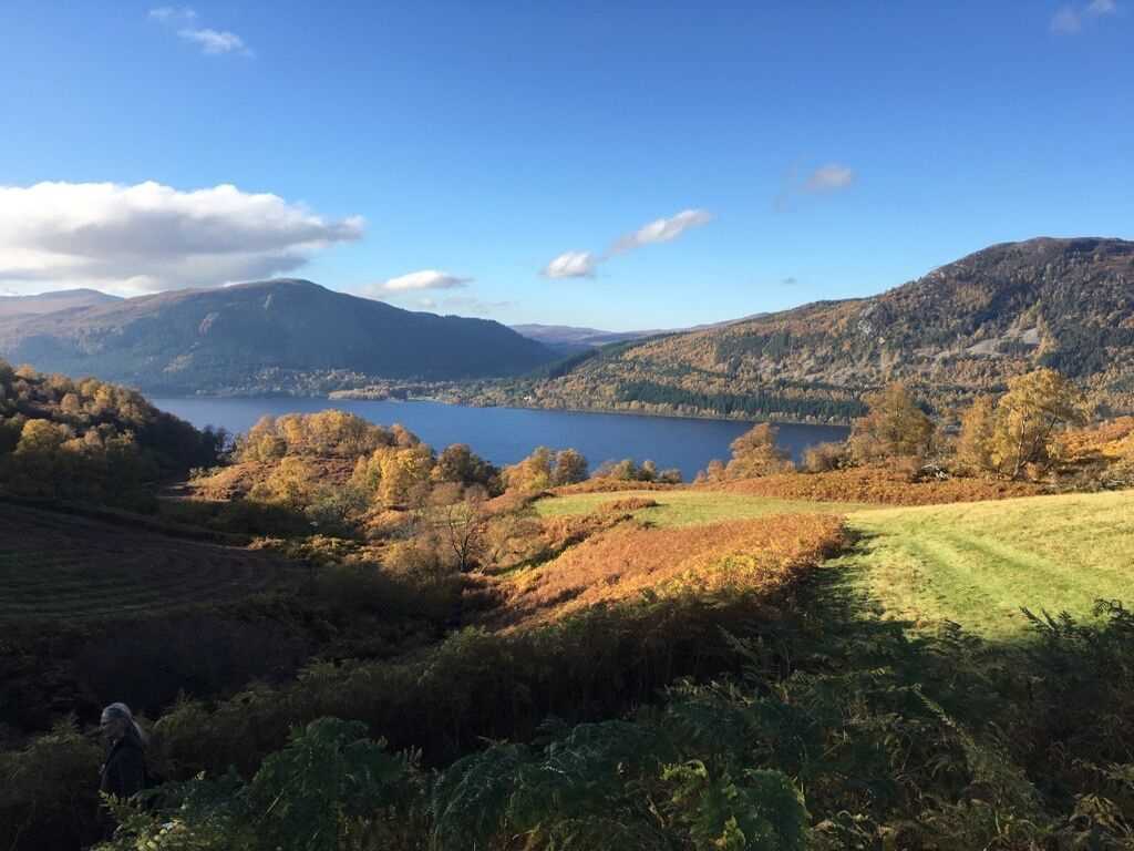 Lot 84 - Breinag Cottage, The Dell Estate, Loch Ness: A...