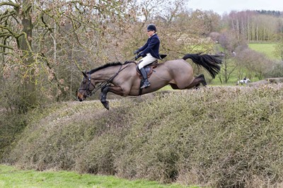 Lot 93 - A Ride Out or Lesson: With Nicky Hanbury in...