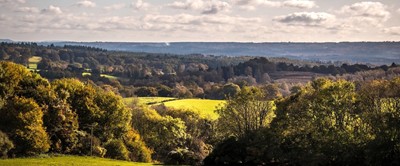 Lot 99 - Waggoners Campsite:  Eco-Friendly Camping in...