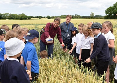 Lot 106 - Donation - Delight a whole class: Gift a Farm...