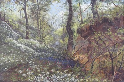 Lot 2449 - Charles Roper - Pair; Woodland flowers and A...