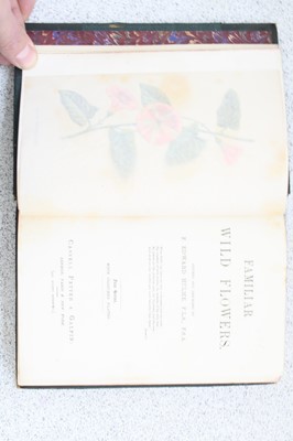 Lot 2008 - Hulme, Edward F: Familiar Wild Flowers, First...