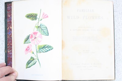 Lot 2008 - Hulme, Edward F: Familiar Wild Flowers, First...