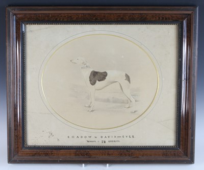Lot 892 - English school, 20th century, Study of a...