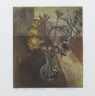 Lot 291 - Richard Bawden (1936-2024) - Small Dried...