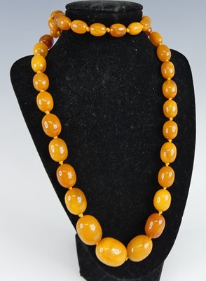 Lot 2727 - A beaded butterscotch amber necklace, arranged...