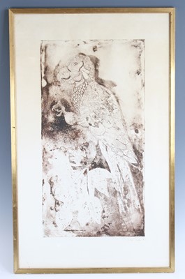 Lot 726 - Julian Temple, (b.1953), Parrot, monochrome...