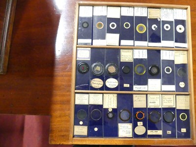 Lot 1448 - A circa 1900 mahogany collectors specimen...