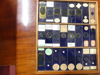 Lot 1448 - A circa 1900 mahogany collectors specimen...