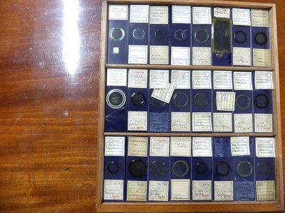 Lot 1448 - A circa 1900 mahogany collectors specimen...