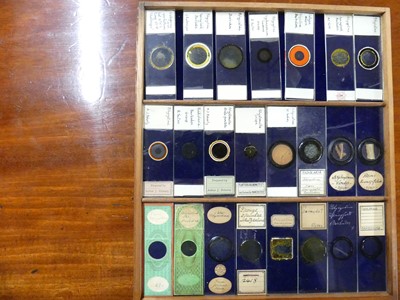 Lot 1448 - A circa 1900 mahogany collectors specimen...