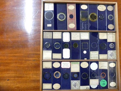 Lot 1448 - A circa 1900 mahogany collectors specimen...