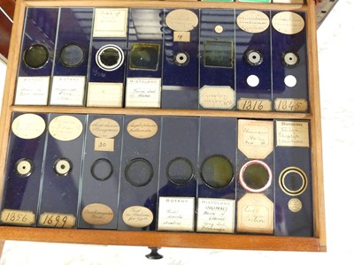 Lot 1448 - A circa 1900 mahogany collectors specimen...