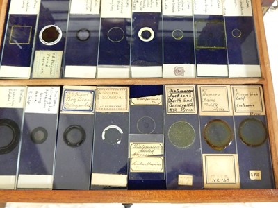 Lot 1448 - A circa 1900 mahogany collectors specimen...