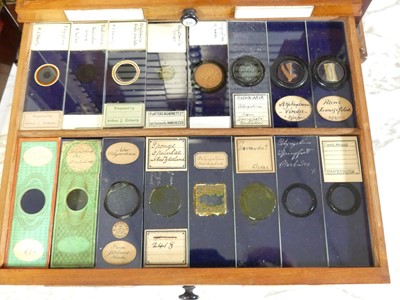 Lot 1448 - A circa 1900 mahogany collectors specimen...