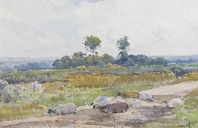 Lot 1291 - Claude Hayes (1852-1922) - Recumbent sheep in...
