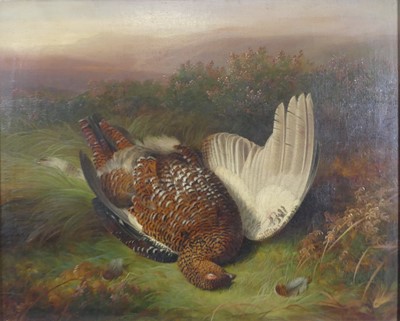 Lot 1324 - Abel Hold (1815-1891) - Study of dead game in...