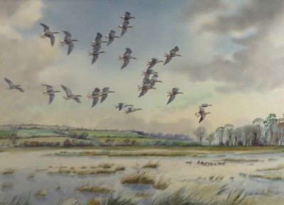 Lot 1326 - Robert W. Milliken (1920-2014) - A greylag...