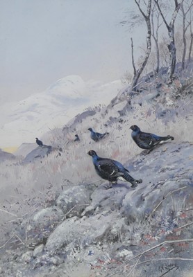 Lot 1329 - George Edward Lodge (1860-1954) - Black grouse,...