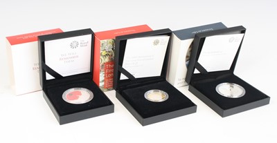 Lot 2042 - The Royal Mint, Rememberance Day 2012 Alderney...