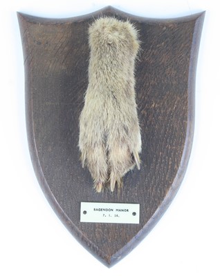 Lot 3602 - An mid-20th century taxidermy Fox (Vulpes...
