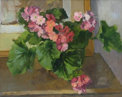 Lot 276 - Jane Bennett (b.1960) - Primula Obconica, oil...