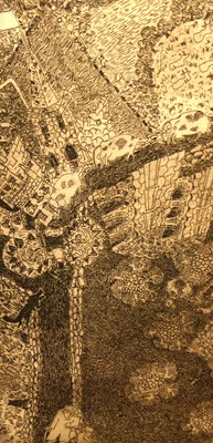 Lot 1080 - Topographical engraving in birds-eye maple...
