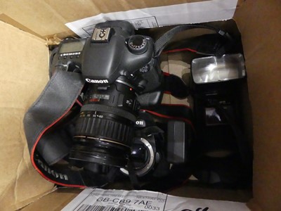 Lot 560 - A collection of cameras to include Canon
