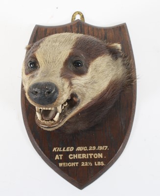 Lot 929 - An early 20th century taxidermy European...