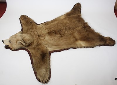 Lot 833 - A taxidermy North American Black Bear skin rug...