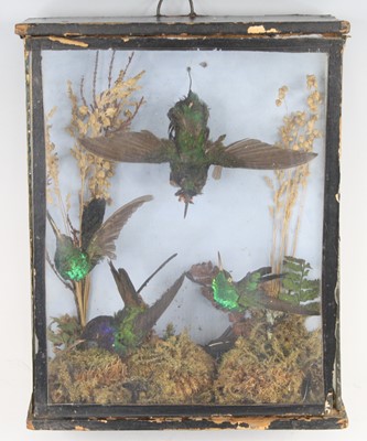 Lot 875 - A Victorian taxidermy group of four...