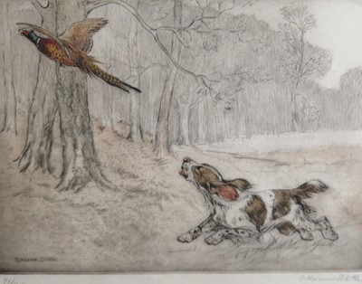 Lot 1047 - Goerge Vernon Stokes (1873-1954) Spaniel and...